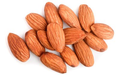 Metal silos: an effective storage technology for almonds