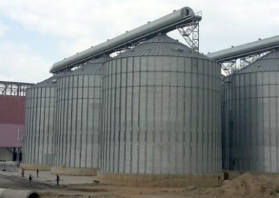 Feed Mill in Venezuela
