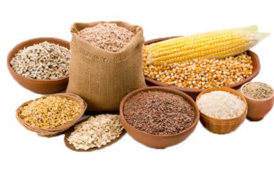 Requerimientos necesarios para almacenar el grano de forma segura