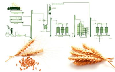 Almacenamiento de grano para reducir las pérdidas poscosecha y proteger su calidad