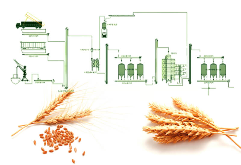 Almacenamiento de grano para reducir las pérdidas poscosecha y proteger su calidad