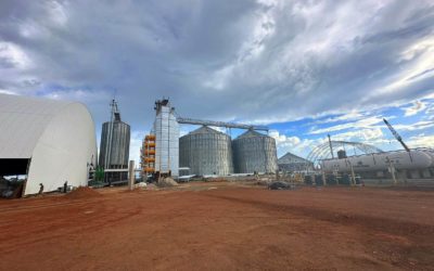 Criterios para la elección y diseño de una planta de silos