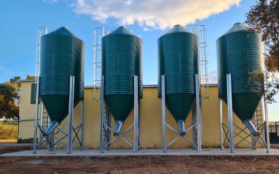 Green pre-lacquered farm silos