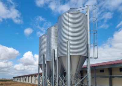 Farm silos with central outlet