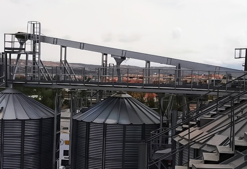 Commissioning of Soybean Meal Silos in Guadix, Spain