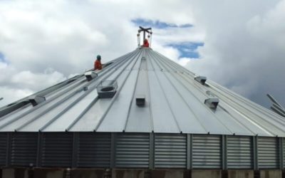 Alisur Expands Its Plant in Chile