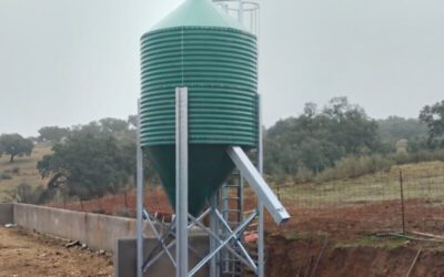 Green Pre-Lacquered Farm Silo with a Tailor-Made Solution in Seville