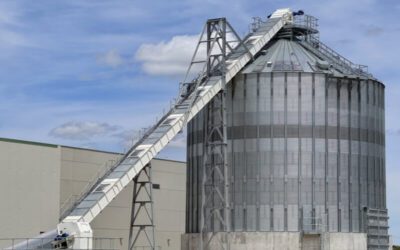 Biomass silo integrated with mechanical conveying and screw extraction system